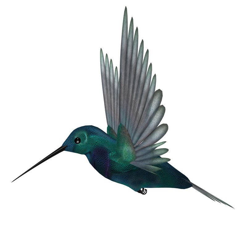 Hummingbird Google Opdatering